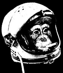 astronauta-macaco