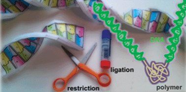 cortar e colar DNA