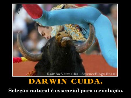 cartaz motivador darwin